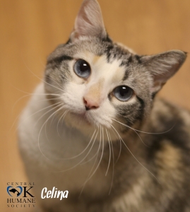 celina