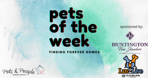 This image has an empty alt attribute; its file name is PetsOfTheWeek_KYIS_1200x630-1-1-300x158.png