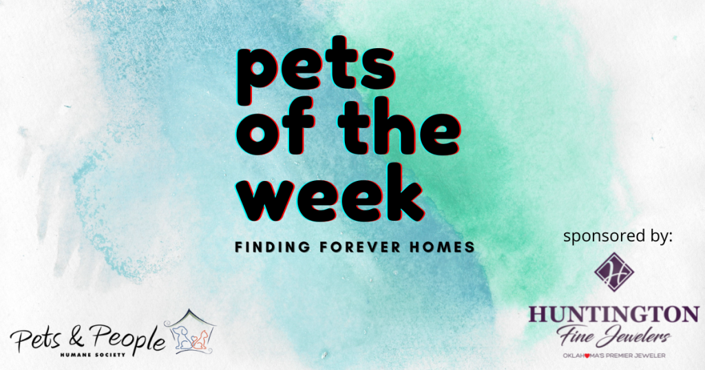 This image has an empty alt attribute; its file name is pets-people-REVISE-logo-1024x538.png